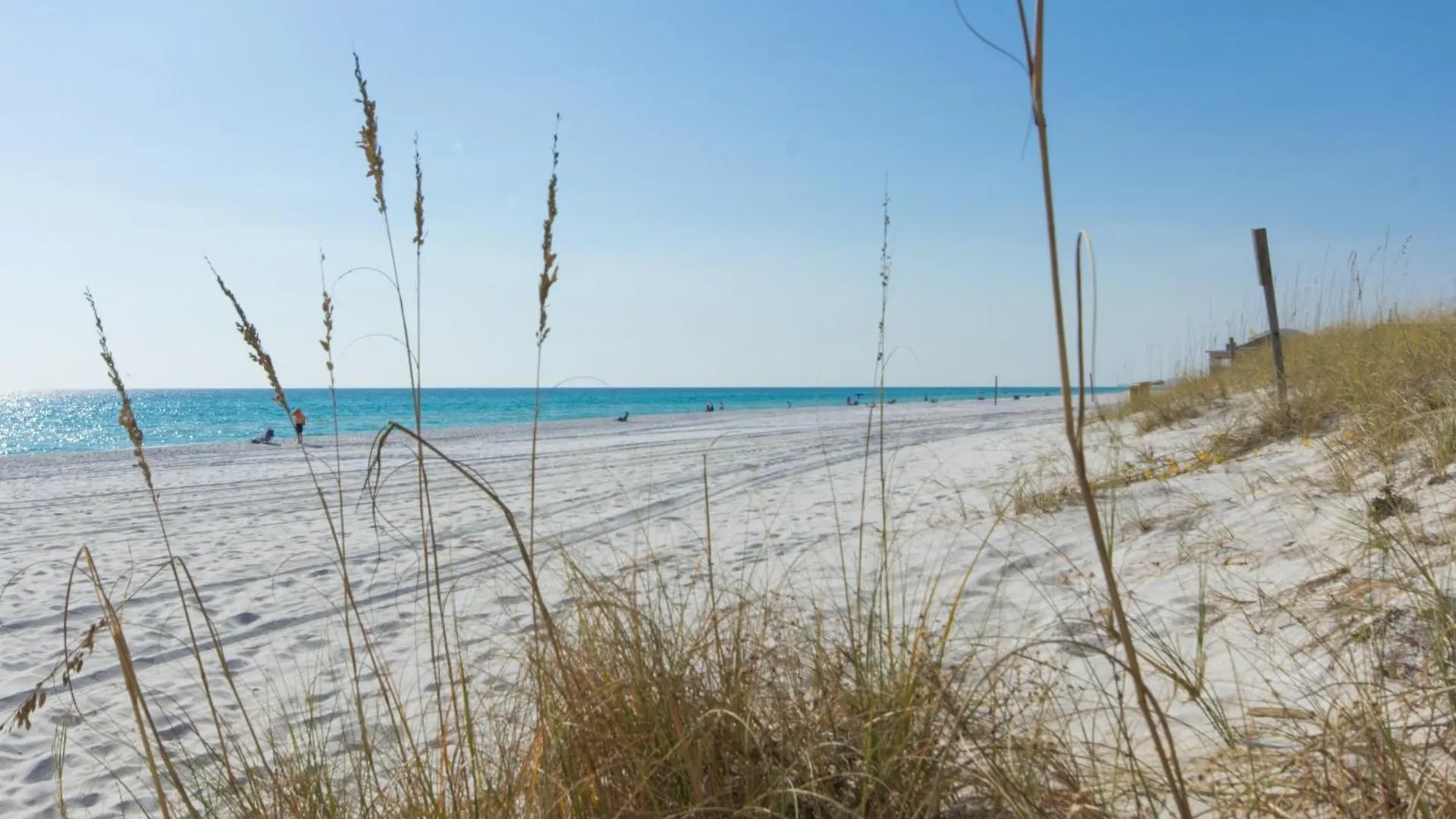 Ferienhaus Coastal Hideaway: Cozy Beachfront Studio - Sleeps 4 With Stunning Views! Panama Stadt USA